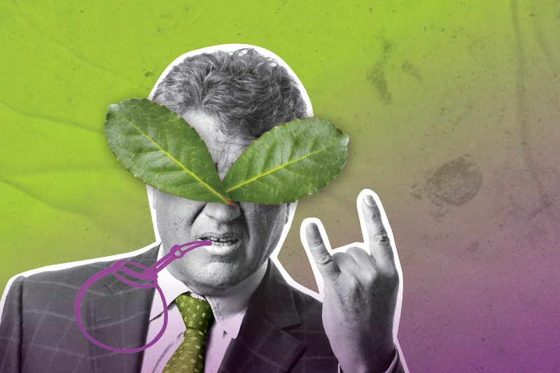 Redes sociais - Erva-mate - Chimarrão